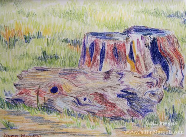 Stump Meadow, Sequoia National Forest; www.caitlinmarquis.com